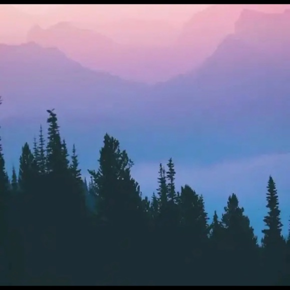 Meet your Posher, Savannah - Picture 1 of 1